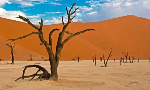 Namib-Naukluft