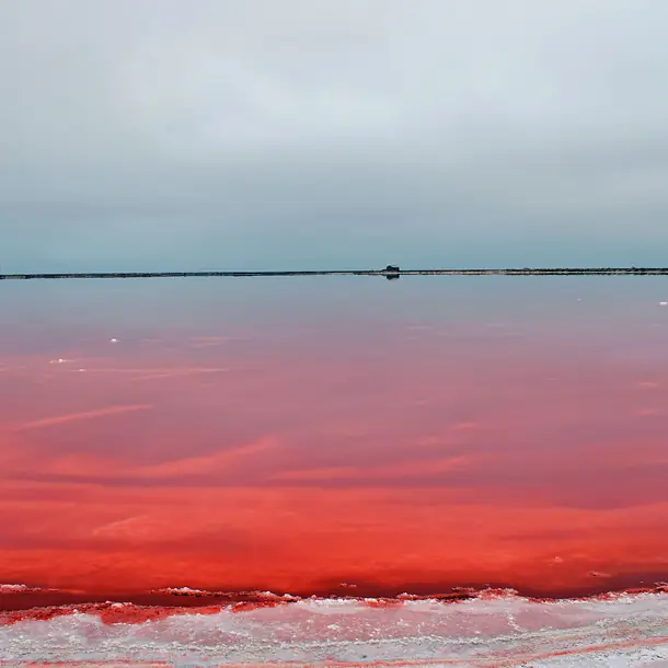 53351108164_9cb42e9509_b