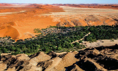 Namib-Naukluft